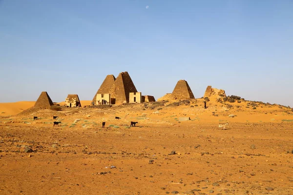 Afrika Soedan Meroe Piramides Antieke Van Zwarte Farao Het Midden — Stockfoto