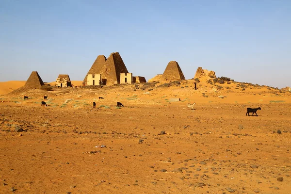 África Sudan Meroe Antigas Pirâmides Dos Faraós Negros Meio Deser — Fotografia de Stock