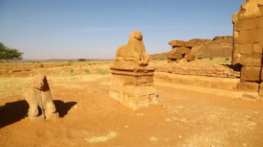 sahara Çölü'nde siyah Firavunlar antik Tapınağı 