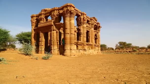 Sahara Çölü Nde Siyah Firavunlar Antik Tapınak Yakın Tanımlanamayan Kişi — Stok video