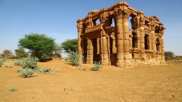 사하라 사막에서 파라오의 — 비디오