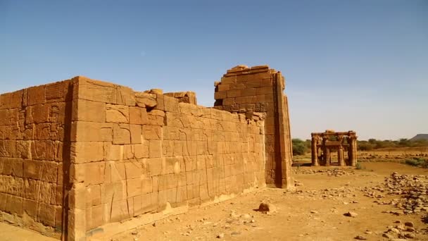 Antieke Tempel Van Zwarte Farao Saharawoestijn — Stockvideo