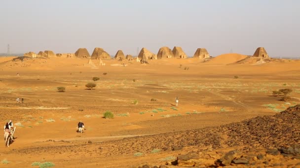 Neznámých Lidí Blízkosti Starožitný Chrám Černých Faraonů Poušti Sahara — Stock video