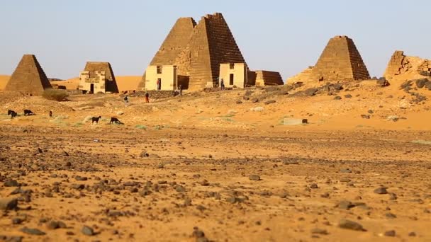 Unbekannte Der Nähe Des Antiken Tempels Schwarzer Pharaonen Der Sahara — Stockvideo