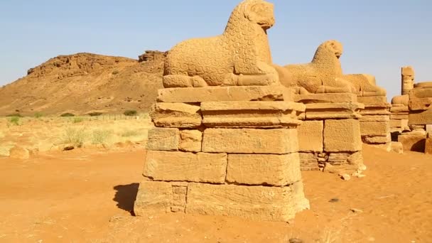 Personas Identificadas Cerca Del Antiguo Templo Los Faraones Negros Desierto — Vídeo de stock