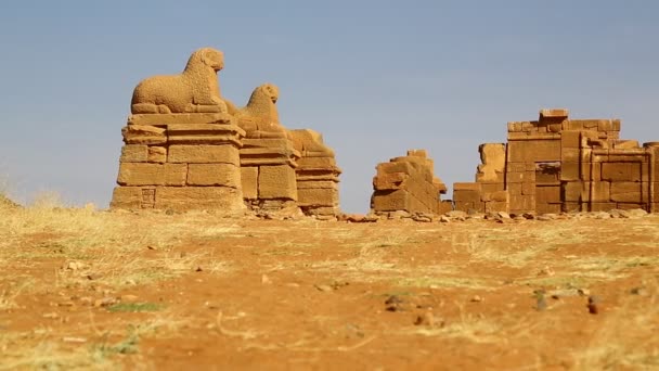 Antico Tempio Dei Faraoni Neri Nel Deserto Del Sahara — Video Stock