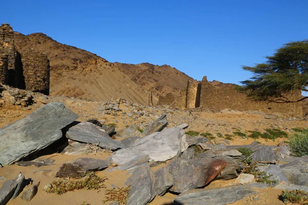 Afrika Sudan Berenice Der Antike Tempel Der Schwarzen Pharaonen Mitten — Stockfoto