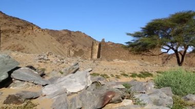 sahara Çölü'nde siyah Firavunlar antik Tapınağı 