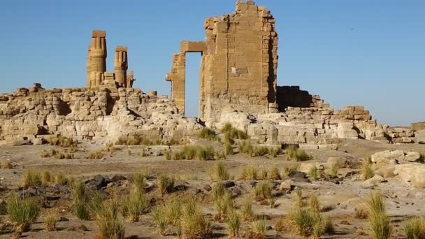Antico Tempio Dei Faraoni Neri Nel Mezzo Del Deserto Berenice — Video Stock