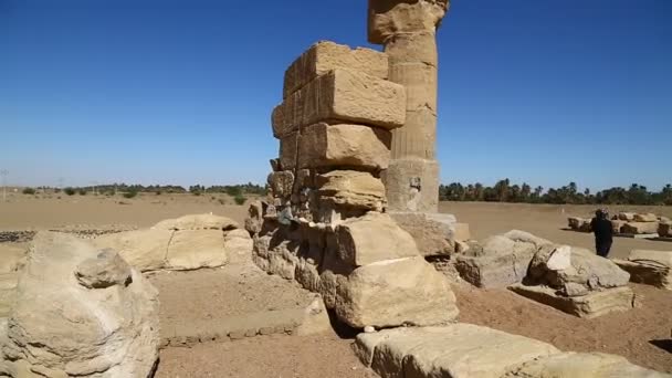 Fekete Fáraók Közép Afrikai Sivatagban Berenice Antik Templom — Stock videók