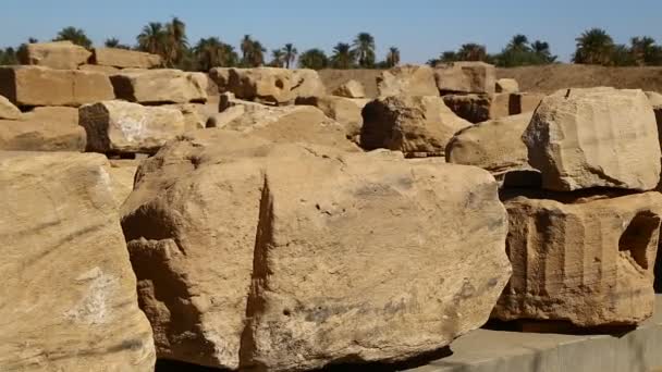 Antique Temple Black Pharaohs Middle Desert Berenice Africa — Stock Video
