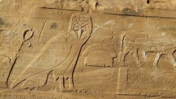 Detailní Záběry Zdi Starožitný Chrám Černých Faraonů Uprostřed Pouště Berenice — Stock video