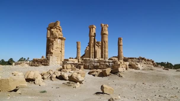 Antico Tempio Dei Faraoni Neri Nel Mezzo Del Deserto Berenice — Video Stock