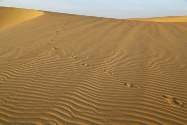 çöl rock ve parça gibi vahşi kavramı ve doğa manzaralı arazi ortasında