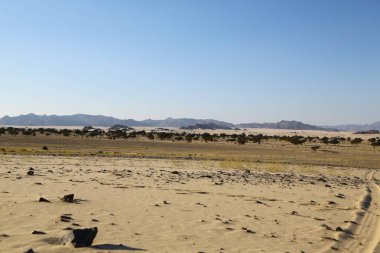 çöl rock ve parça gibi vahşi kavramı ve doğa manzaralı arazi ortasında