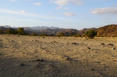 çöl rock ve parça gibi vahşi kavramı ve doğa manzaralı arazi ortasında