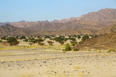 çöl rock ve parça gibi vahşi kavramı ve doğa manzaralı arazi ortasında