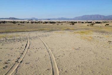 çöl rock ve parça gibi vahşi kavramı ve doğa manzaralı arazi ortasında