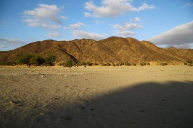 çöl rock ve parça gibi vahşi kavramı ve doğa manzaralı arazi ortasında