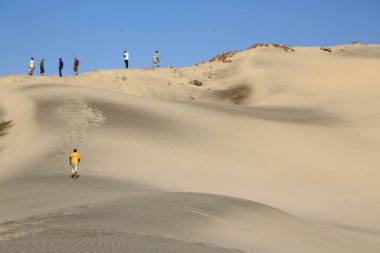çöl rock ve parça gibi vahşi kavramı ve doğa manzaralı arazi ortasında