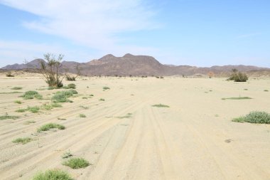 çöl rock ve parça gibi vahşi kavramı ve doğa manzaralı arazi ortasında