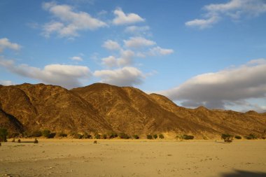 çöl rock ve parça gibi vahşi kavramı ve doğa manzaralı arazi ortasında
