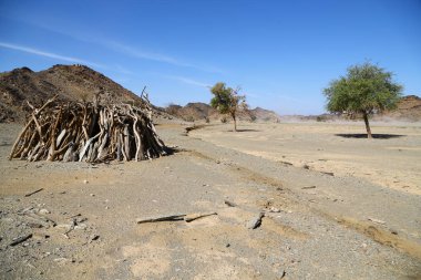 Sudan'da dağ ve görüntü'nün çalı freedo ve doğanın vahşi yaşam kavramı