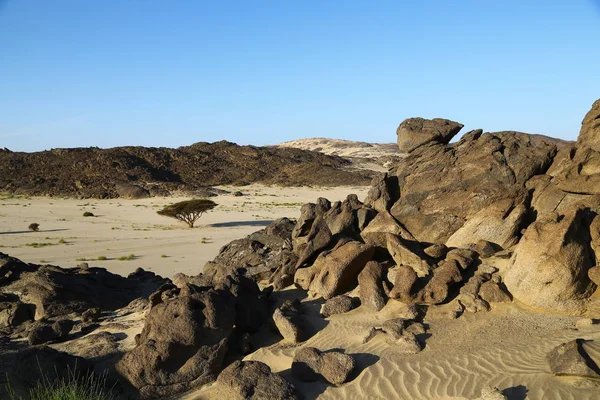 Medio Roca Del Desierto Pista Como Concepto Tierra Salvaje Naturaleza — Foto de Stock