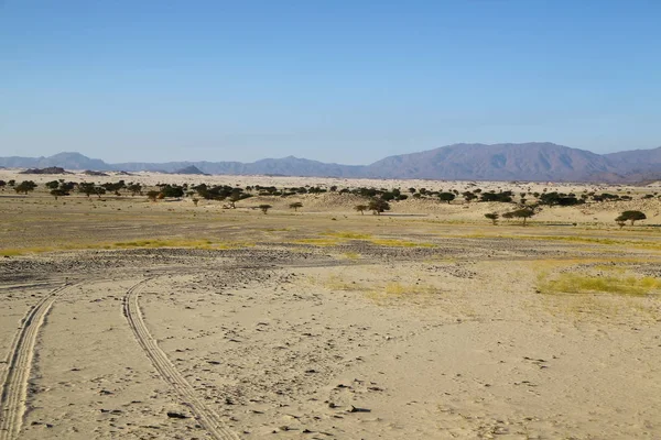 Nel Mezzo Del Deserto Roccia Pista Come Concetto Terra Selvaggia — Foto Stock
