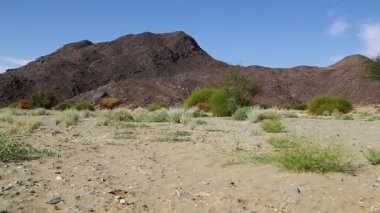 dağ ve yaban hayatı, Sudan, Afrika bush