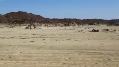 dağ ve yaban hayatı, Sudan, Afrika bush