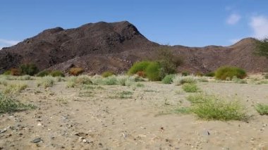 dağ ve yaban hayatı, Sudan, Afrika bush