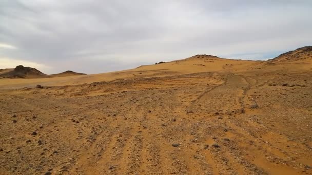 Medio Del Desierto Sudán África — Vídeos de Stock