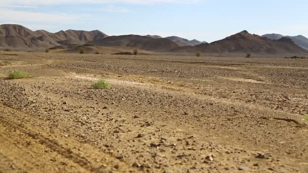 Пустыне Посреди Судана Африка — стоковое видео