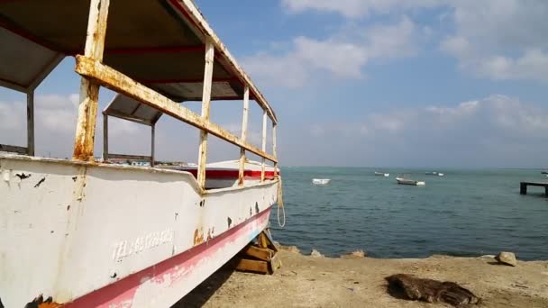 Gamla Skepp Och Båtar Egyptens Hamn — Stockvideo
