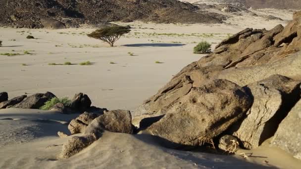 Mitten Öknen Sudan Afrika — Stockvideo