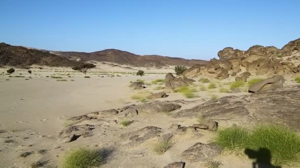 Közepén Sivatagban Szudánban Afrika — Stock videók