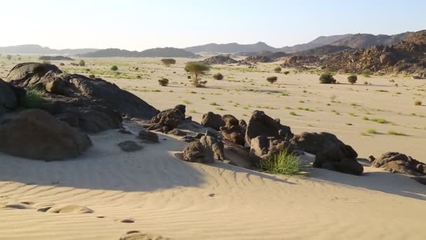 Mitten Der Wüste Sudan Afrika — Stockvideo