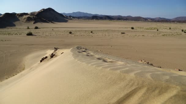 Middle Desert Sudan Africa — Stock Video