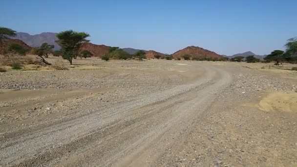 Montaña Arbusto Vida Silvestre Sudán África — Vídeo de stock