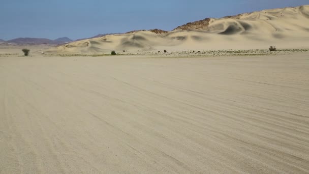 Milieu Désert Soudan Afrique — Video