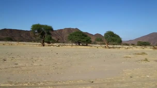 Medio Del Desierto Sudán África — Vídeo de stock