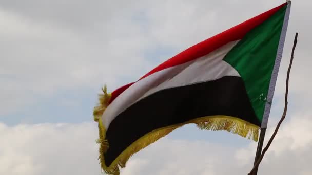 Bandera Palestina Moviéndose Por Viento Contra Cielo — Vídeo de stock