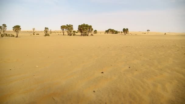 Mitten Öknen Sudan Afrika — Stockvideo