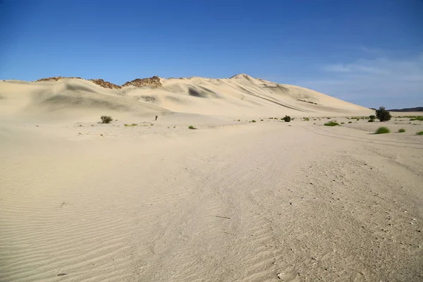 Meio Rocha Deserto Trilha Como Conceito Terra Cênica Selvagem Natureza — Fotografia de Stock