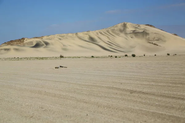 Medio Roca Del Desierto Pista Como Concepto Tierra Salvaje Naturaleza —  Fotos de Stock