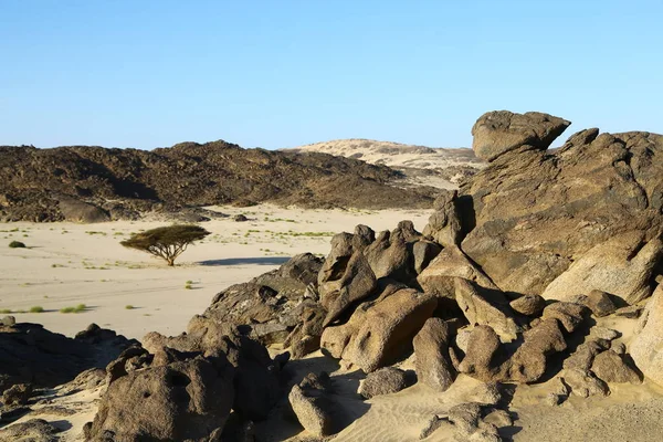 Medio Roca Del Desierto Pista Como Concepto Tierra Salvaje Naturaleza — Foto de Stock