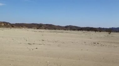 dağ ve yaban hayatı, Sudan, Afrika bush