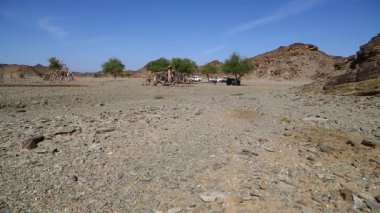 dağ ve yaban hayatı, Sudan, Afrika bush