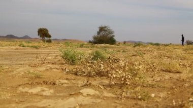 dağ ve yaban hayatı, Sudan, Afrika bush
